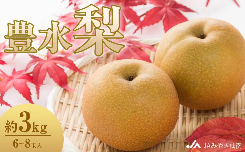 【JAみやぎ仙南】梨「豊水」約3kg&nbsp;(6～8玉入)｜梨&nbsp;ナシ&nbsp;こだわりの梨&nbsp;フルーツ&nbsp;果物&nbsp;旬の梨&nbsp;宮城県角田市&nbsp;約3kg&nbsp;&nbsp;