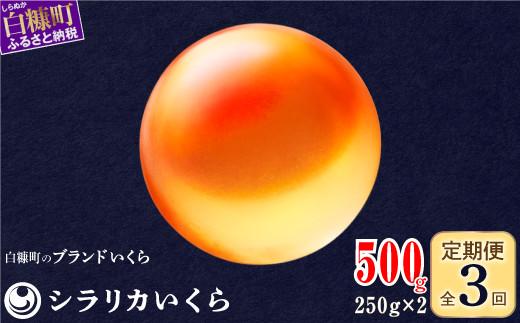 年3回お届け定期便 シラリカいくら（生いくら） 500g(250g×2) お好みに味付けができます いくら イクラ 生いくら 生イクラ 小分け 鮭いくら 鮭イクラ いくら醤油漬 イクラ醤油漬 鮭 鮭卵 いくら醤油漬け ikura 醤油いくら 醤油イクラ 冷凍いくら いくら無添加 いくら鮭 ふるさと納税 ふるさとチョイス チョイス 北海道 白糠町