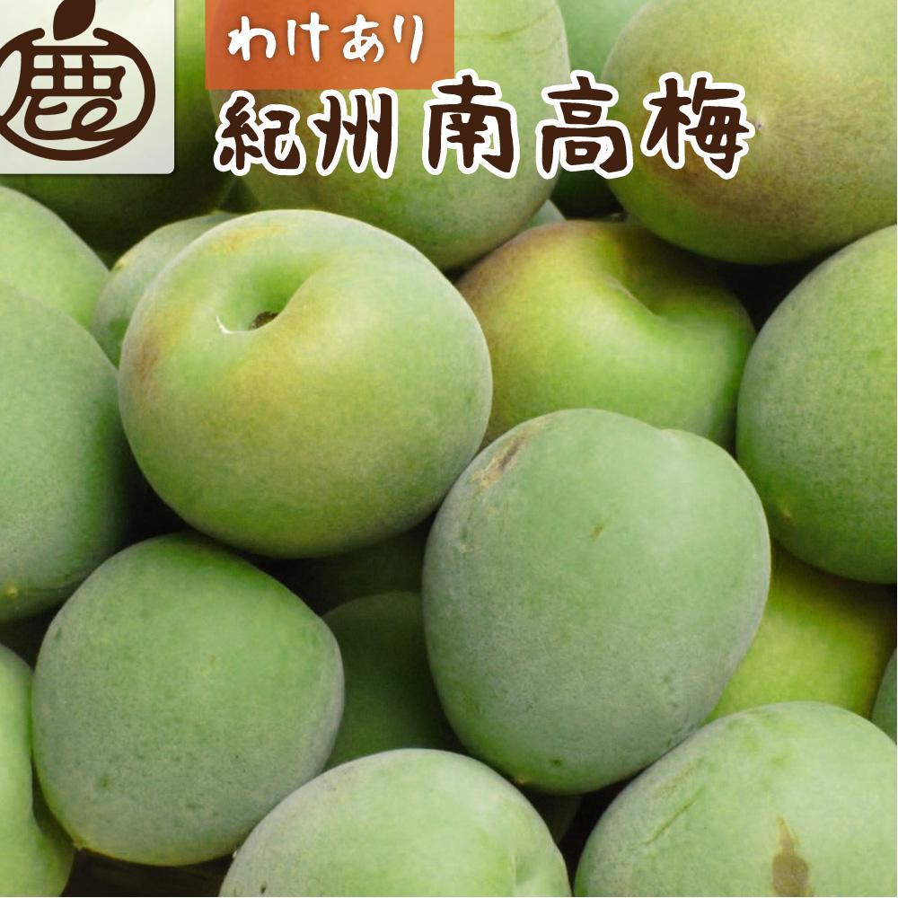 家庭用&nbsp;紀州南高梅(青梅)5kg+250g（傷み補償分）【梅干し・梅ジュース】【訳あり】［IKE113］