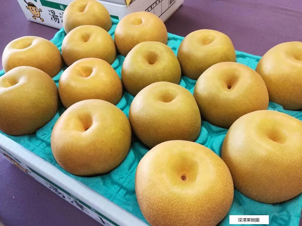 【先行受付】≪8～9月発送≫深澤果樹園さんの梨ギフト［幸水］2.5kg（5個～7個前後）　