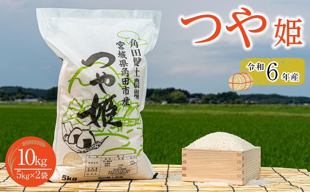 令和6年産 米 つや姫 10kg ( 5kg × 2袋 ) お米 白米 精米 こめ ご飯 ごはん おにぎり つやひめ 国産 お取り寄せ 人気 おすすめ 食品 宮城