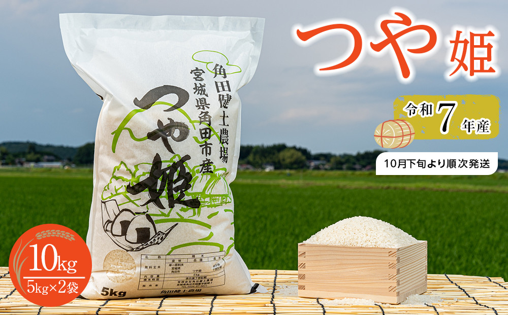 令和7年産 米 つや姫 10kg ( 5kg × 2袋 ) お米 白米 精米 こめ ご飯 ごはん おにぎり つやひめ 国産 お取り寄せ 人気 おすすめ 食品 宮城