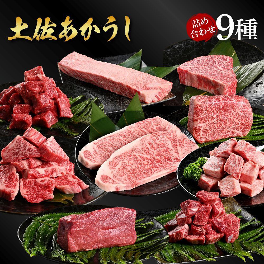 熟成肉　土佐あかうし　詰め合わせ9種【ポイント交換専用】