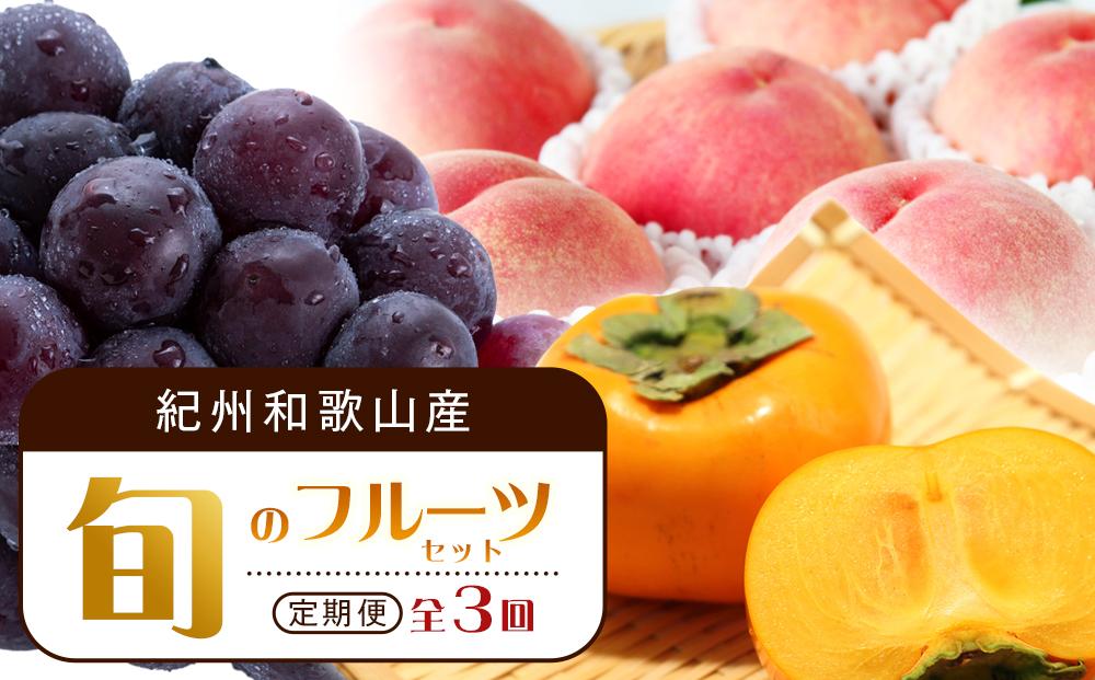 【7・8・10月 全3回】紀州和歌山産旬のフルーツセット（桃・ピオーネ・ひらたねなし柿）定期便 【魚鶴商店】【UT67】