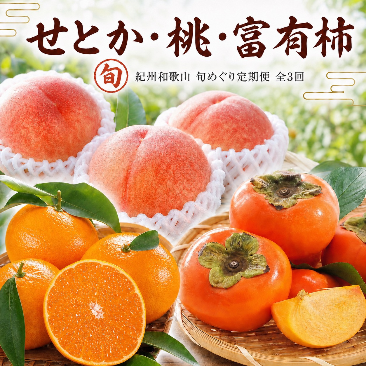 【3・7・11月&nbsp;全3回】紀州和歌山産旬のフルーツセット（せとか・桃・富有柿）&nbsp;定期便&nbsp;【魚鶴】【UT72】