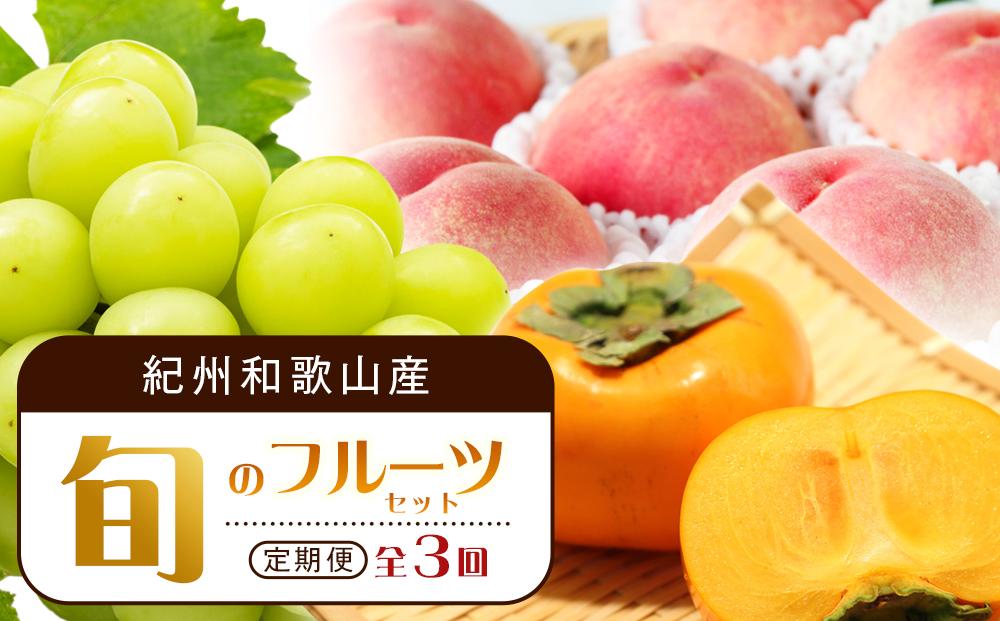 【7・8・10月 全3回】紀州和歌山産旬のフルーツセット（桃・シャイン・ひらたねなし柿）定期便 【魚鶴商店】【UT66】