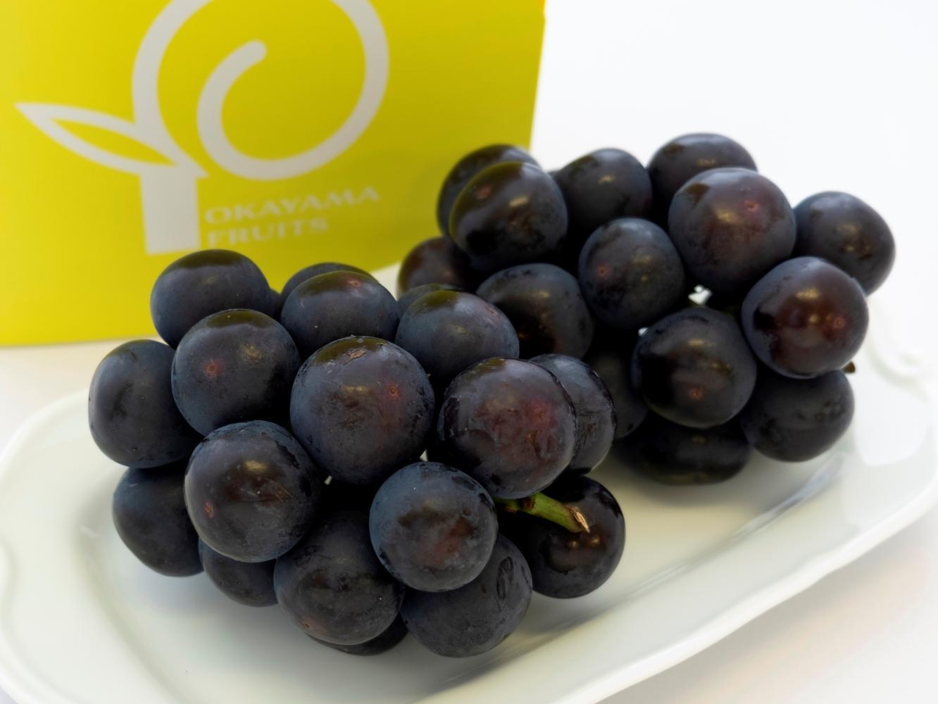ぶどう&nbsp;2026年&nbsp;ご家庭用&nbsp;岡山県産&nbsp;オーロラブラック&nbsp;1.2kg（2～3房）（クール便）