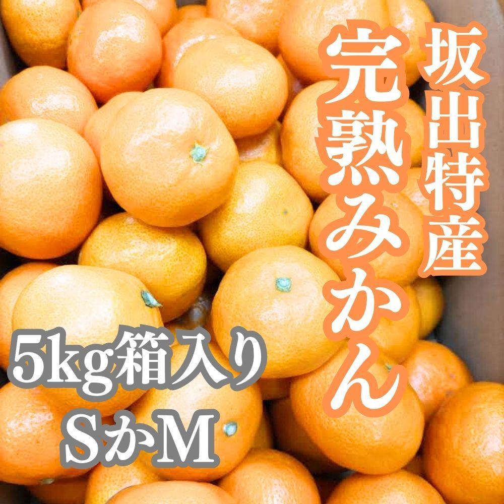 坂出特産みかん 約5kg入り（SまたはMサイズ）