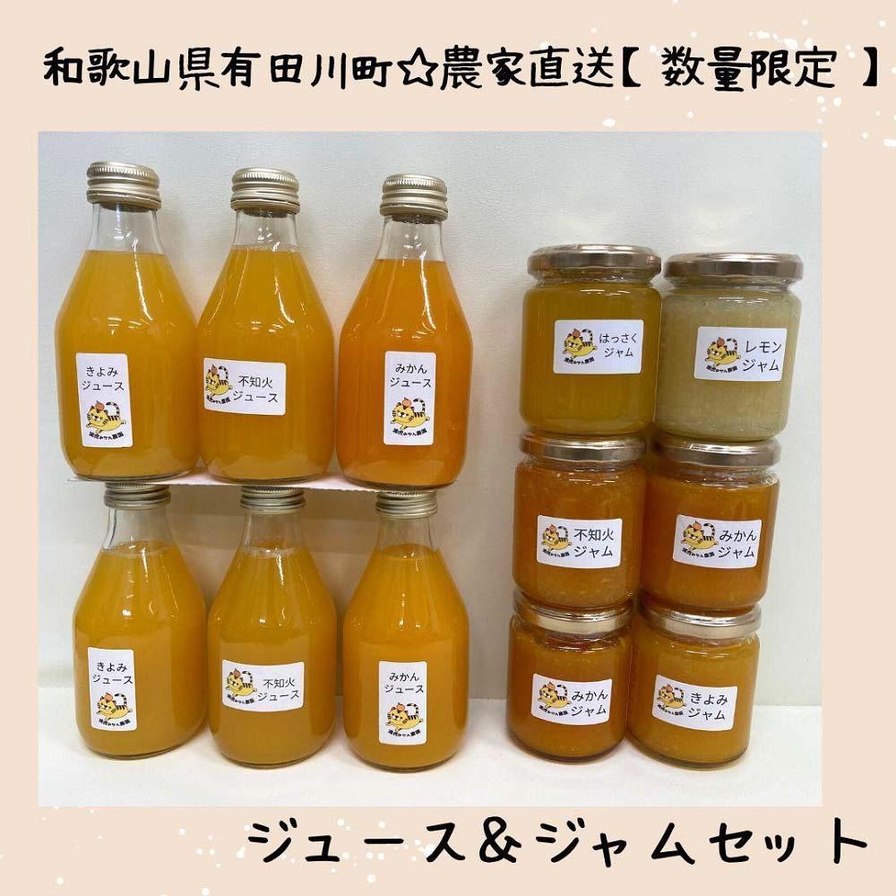 【お中元】数量限定！店主にお任せ 農家直送の無添加の柑橘ジュース＆ジャムセット 【2024年7月1日～8月5日ごろ順次発送】