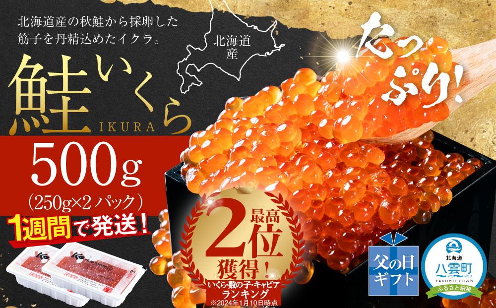 【父の日ギフト】北海道産 鮭いくら醤油漬　500g (250g×2パック) 【 いくら醤油漬け いくら醤油漬 北海道 小分け 鮭 海産物 魚介類 水産物応援 水産物支援 年内発送 年内配送 】