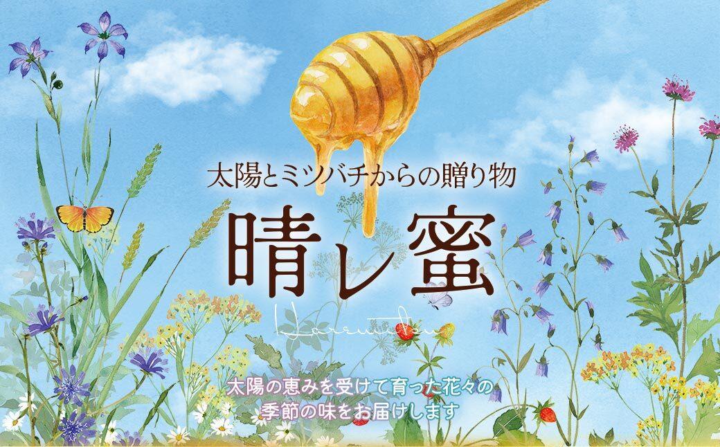 数量限定】 希少種 日本ミツバチの「結晶化はちみつ」600g 鹿児島県大崎町産 | JTBのふるさと納税サイト [ふるぽ]