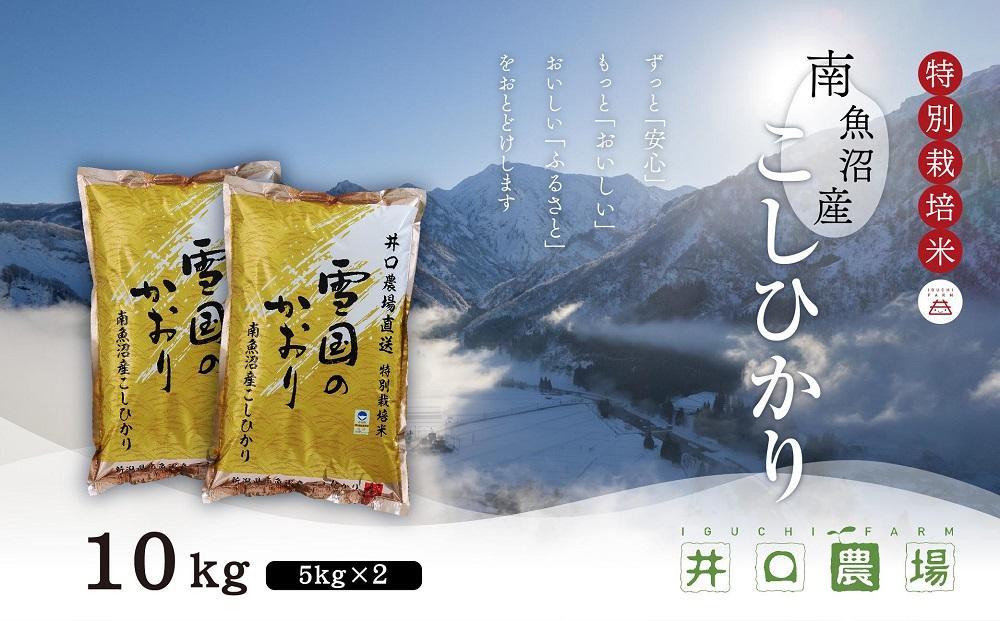 【令和6年産 新米予約】南魚沼産コシヒカリ10kg 井口農場こだわりの 特別栽培米＜クラウドファンディング対象＞