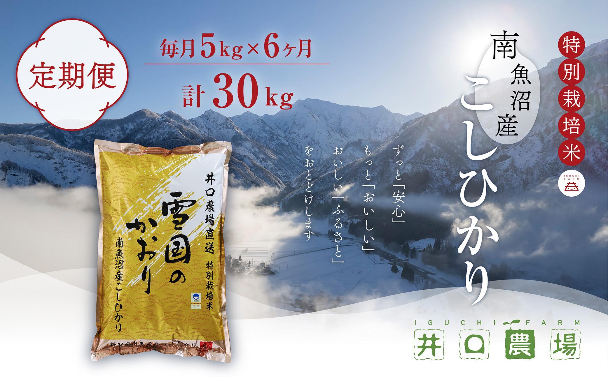 【令和6年産新米予約／令和6年10月上旬より順次発送】【定期便】５kg×６ヶ月　南魚沼産コシヒカリ 井口農場 こだわりの 特別栽培米＜クラウドファンディング対象＞