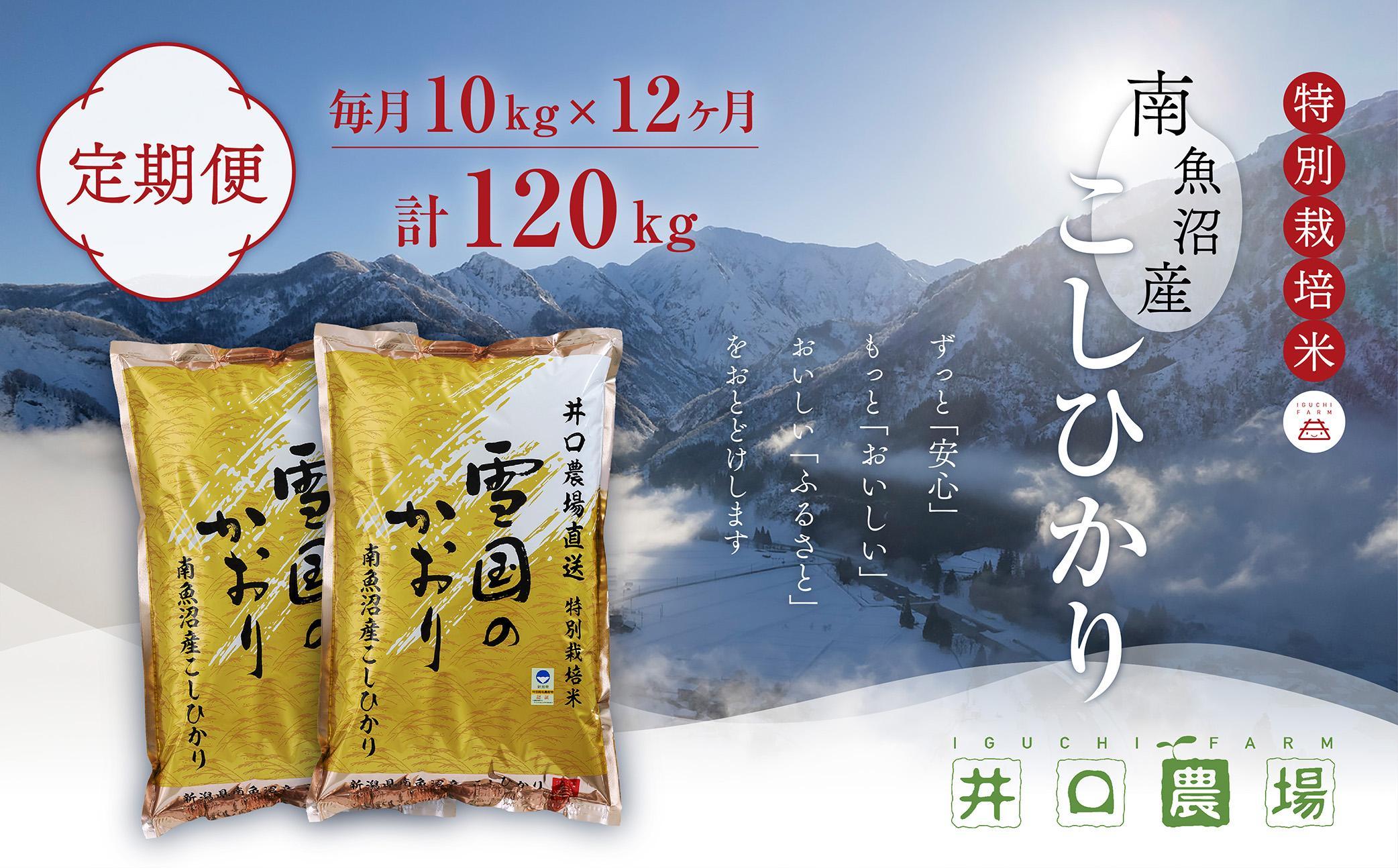 【令和6年産新米予約／令和6年10月上旬より順次発送】【定期便】１０kg×１２ヶ月　南魚沼産コシヒカリ 井口農場 こだわりの 特別栽培米＜クラウドファンディング対象＞