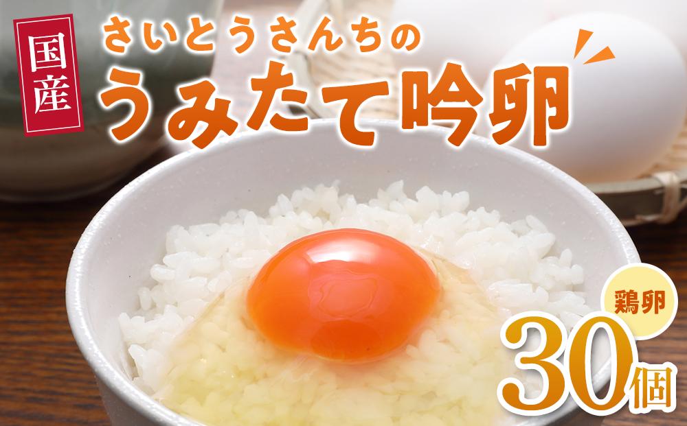 ＼うみたて出荷／ 卵 30個 たまご 玉子 タマゴ 鶏卵 国産 ごはん 卵かけごはん 卵焼き 玉子焼き オムライス 人気 おすすめ お取り寄せ グルメ 宮城