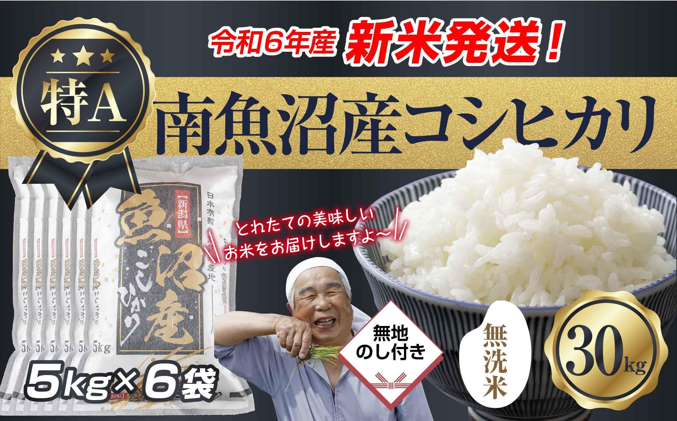 【新米発送】無地のし 「無洗米」 令和6年産 新潟県 南魚沼産 コシヒカリ お米 5kg×6袋 計 30kg 精米済み（お米の美味しい炊き方ガイド付き） お米 こめ 白米 新米 こしひかり  魚沼 南魚沼 南魚沼市 新潟県産 新潟県 産地直送