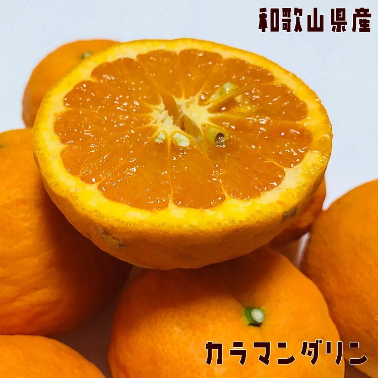 有田育ちの&nbsp;完熟&nbsp;カラマンダリン&nbsp;(ご家庭用)&nbsp;約2kg&nbsp;【先行予約・2025年4月より発送】【農園直送】【MS73】