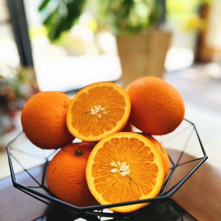 有田育ちの&nbsp;完熟&nbsp;八朔&nbsp;(ご家庭用)&nbsp;約5kg【先行予約・2025年3月～発送】【MS51】