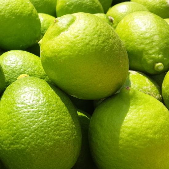 紀州和歌山&nbsp;有田レモン（ご家庭用）約3kg&nbsp;［先行予約］［国産］［農園直送］［ノーワックス・ノー防腐剤］［MS70］