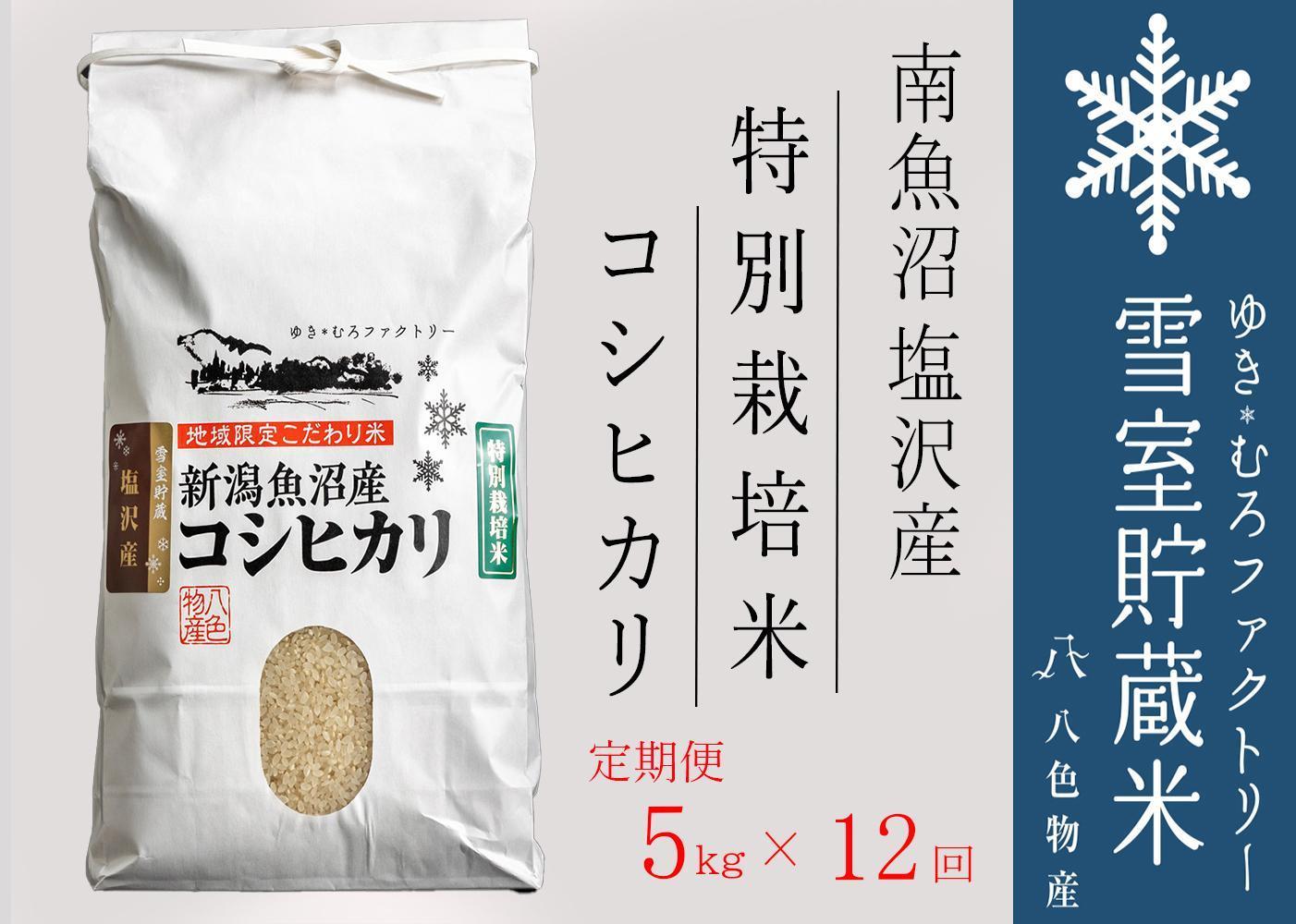 【新米】特別栽培【定期便5kg×12回】雪室貯蔵米 南魚沼塩沢産コシヒカリ＜クラウドファンディング対象＞