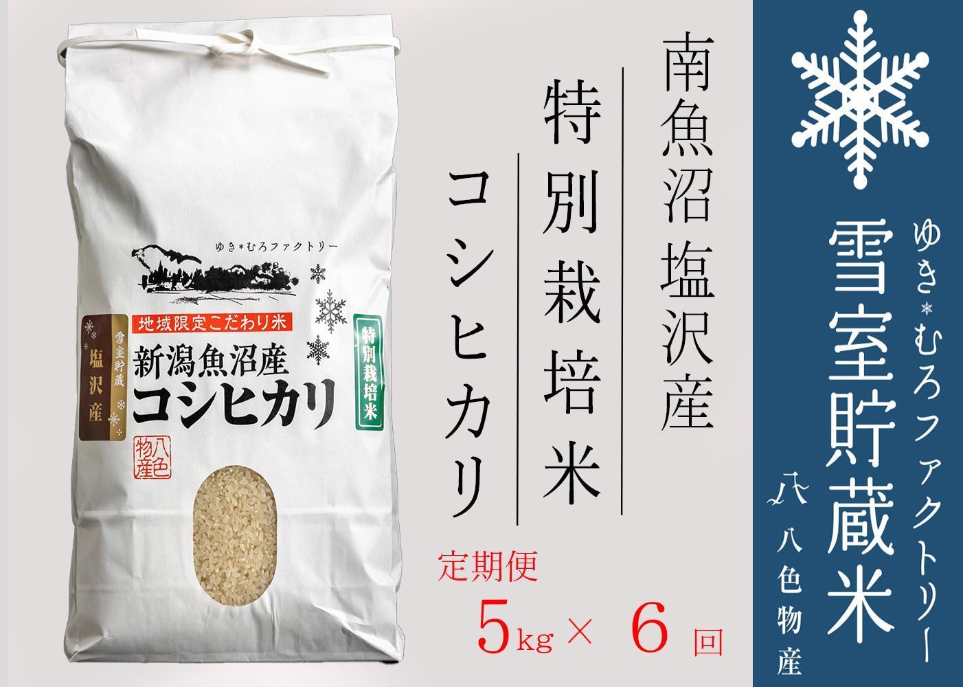 【新米】特別栽培【定期便5kg×6回】 雪室貯蔵米 南魚沼塩沢産コシヒカリ＜クラウドファンディング対象＞