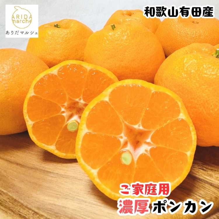 ［先行予約］極甘&nbsp;柑橘&nbsp;有田育ちの&nbsp;濃厚&nbsp;ポンカン（家庭用）10kg［MS47］