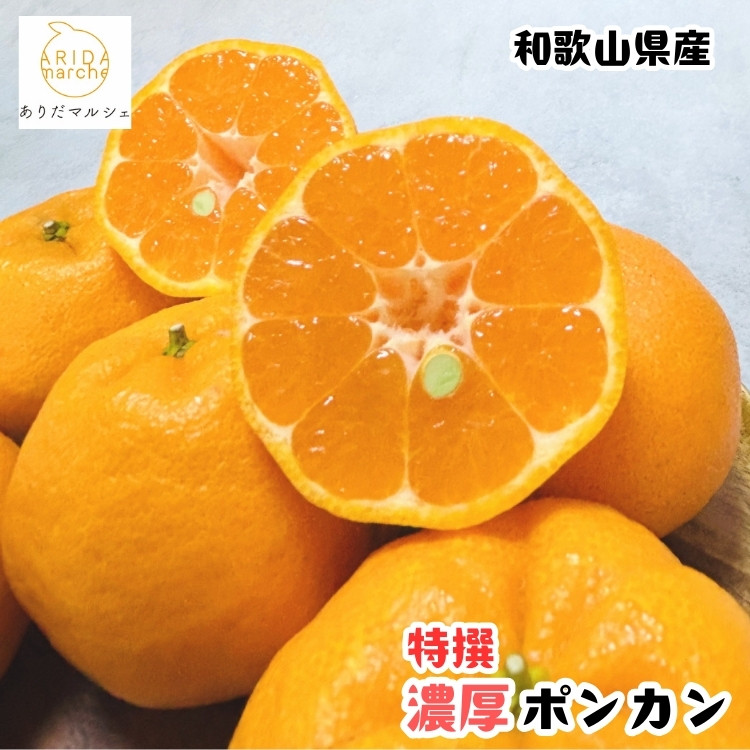 ［先行予約］極甘&nbsp;柑橘&nbsp;特選&nbsp;濃厚&nbsp;ポンカン&nbsp;3kg［MS49］