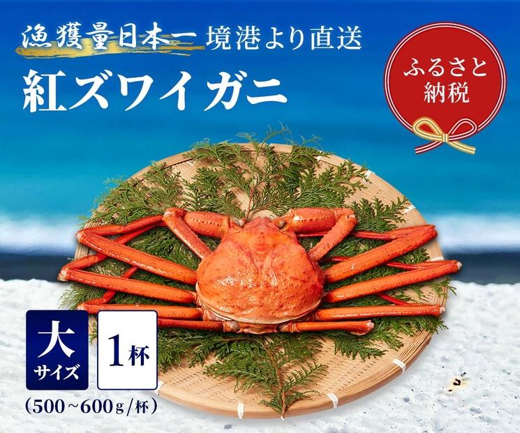 【蟹セレブ】ズワイガニ（紅ズワイガニ）大1杯（500～600g×1）