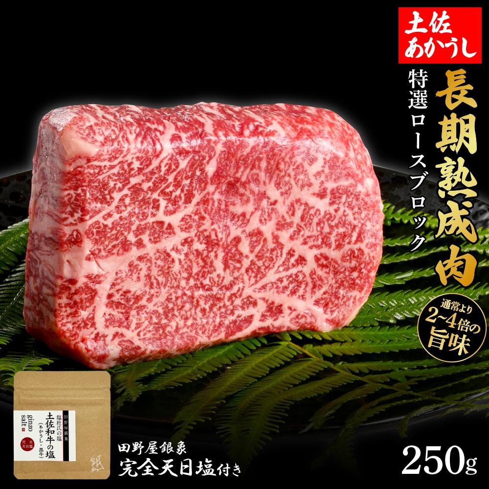 熟成肉　土佐あかうし　特選ロースブロック　約250g　田野屋銀象完全天日塩付き【ポイント交換専用】