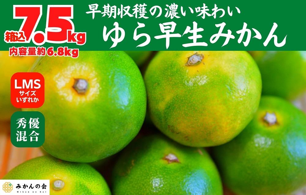 ゆら早生 みかん 箱入7.5kg (内容量 6.8kg) SMLサイズのいずれか 秀品 優品 混合 有田みかん 和歌山県産 【みかんの会】