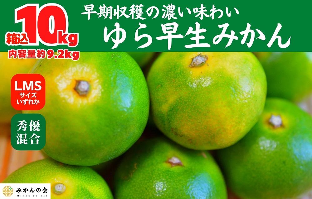 ゆら早生 みかん 箱入 10kg (内容量 9.2kg)  SMLサイズのいずれか 秀品 優品 混合 有田みかん 和歌山県産 【みかんの会】