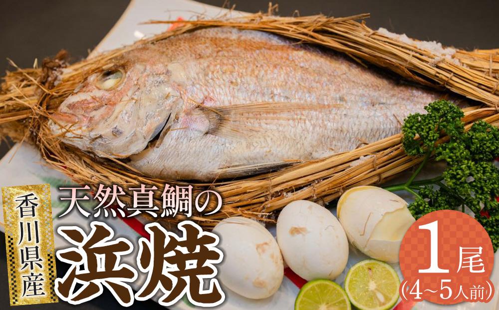 天然真鯛の浜焼1尾（4人～5人前）