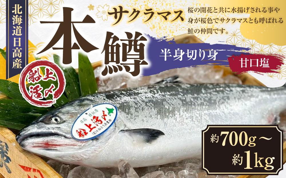 本鱒（サクラマス）船上活〆半身切り身【甘口塩】（半身約700g～1000g）