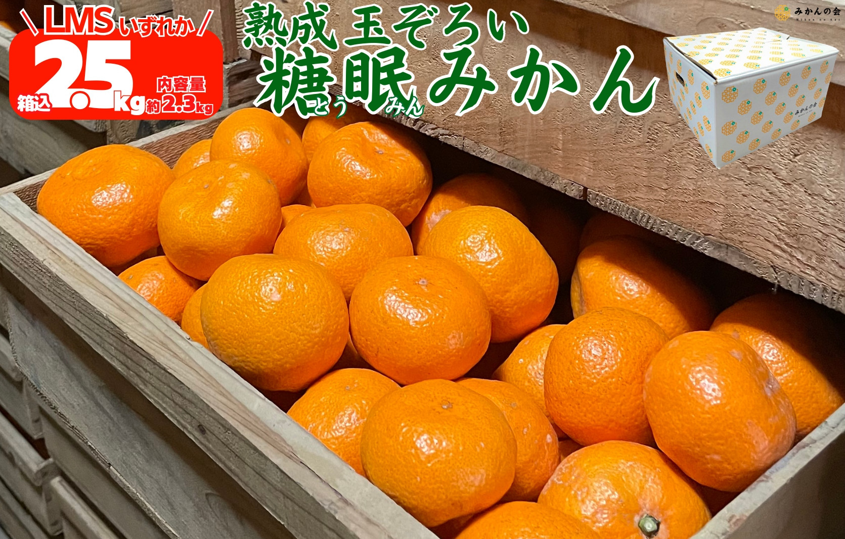 ［先行予約］熟成&nbsp;みかん&nbsp;箱込2.5kg&nbsp;(&nbsp;内容量&nbsp;2.3kg&nbsp;)&nbsp;SMLサイズのいずれか&nbsp;秀品&nbsp;優品&nbsp;混合&nbsp;和歌山県産&nbsp;産地直送&nbsp;贈答用&nbsp;［みかんの会］