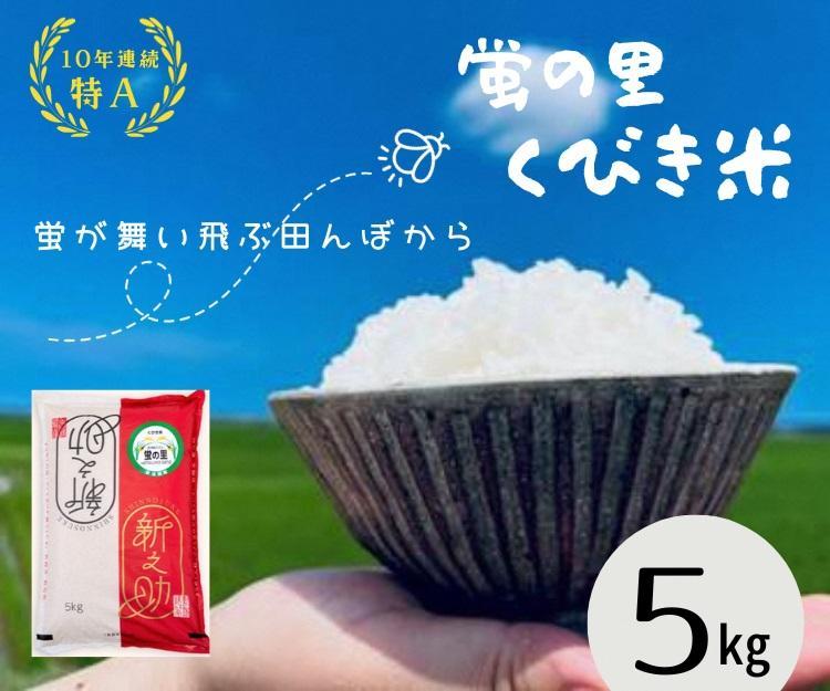 【令和5年産】新潟上越産新之助　5kg｜しんのすけ シンノスケ 米 お米 こめ おすすめ 人気 ふるさと納税  新潟 新潟県産 にいがた 上越 上越産