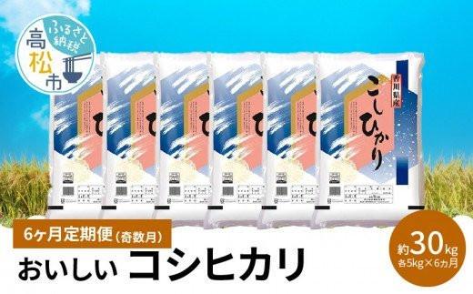 【6ヶ月定期便】計約30kg 奇数月 おいしいコシヒカリ約5kg