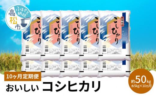 【10ヶ月定期便】計約50kg おいしいコシヒカリ約5kg