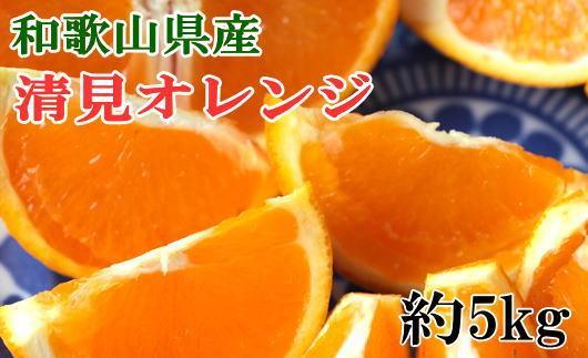 和歌山県産清見オレンジ約5kg（サイズ混合）★2025年3月中旬頃より順次発送【TM160】