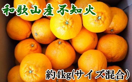 和歌山県産不知火約4kg（サイズ混合）★2025年2月下旬頃より順次発送【TM130】