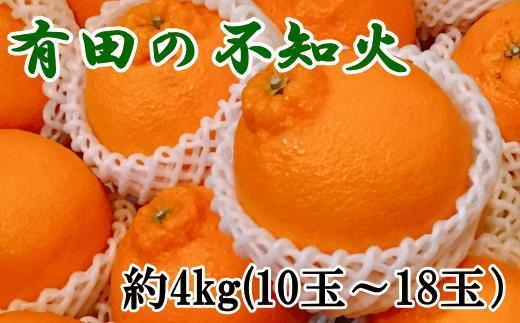 【濃厚】有田の不知火約4kg（10～18玉）★2025年2月上旬～3月下旬頃順次発送【TM30】