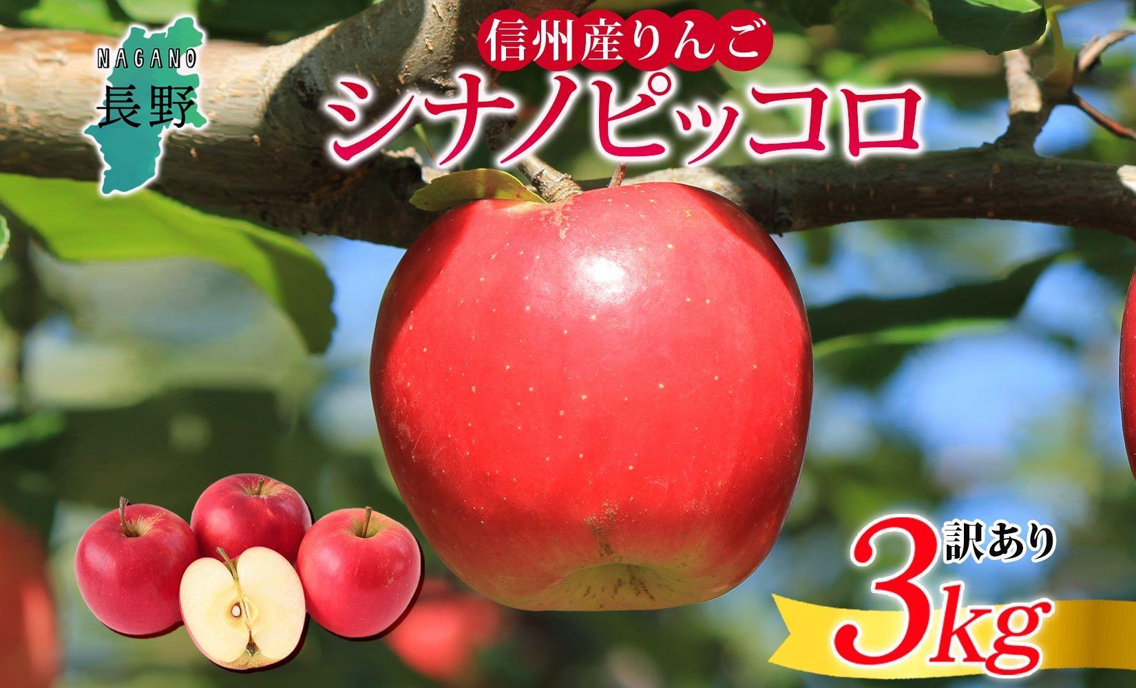 長野県産 りんご シナノピッコロ 訳あり 約3kg リンゴ 旬 フルーツ 訳アリ 林檎 果物 規格外 自家用 産地直送 農園 産直 お取り寄せ もぎたて 採れたて 送料無料 堀田農園 信州 大町市