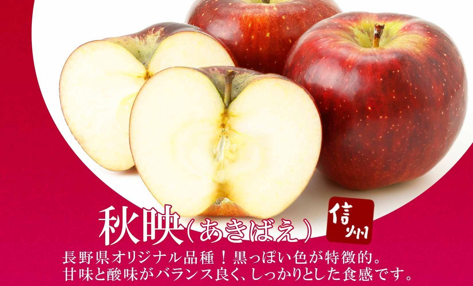 26年10月頃～発送 先行予約＞長野県産 りんご 秋映 訳あり 約3kg