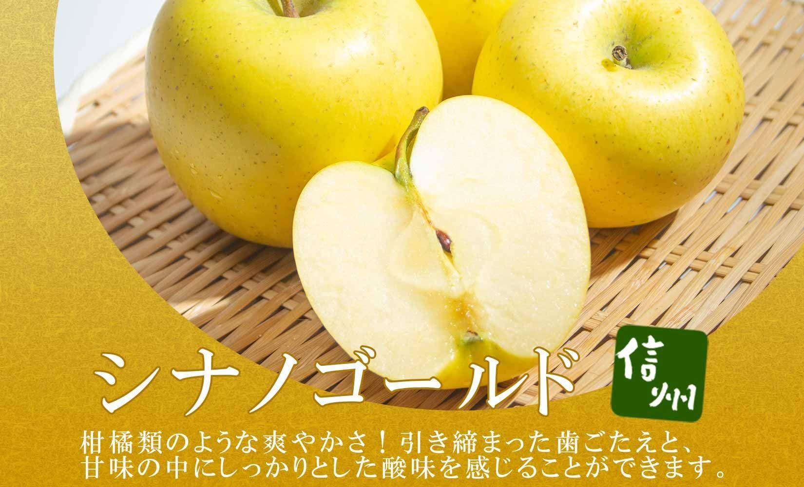 25年発送 先行予約＞長野県産 りんご シナノゴールド 訳あり 約3kg