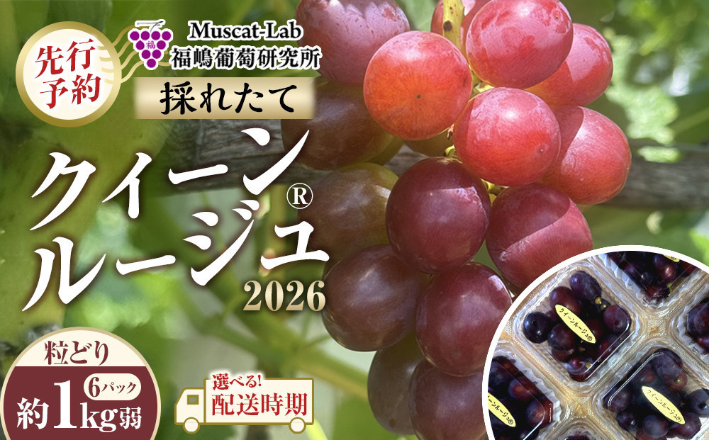 【先行予約】&nbsp;A&nbsp;2026&nbsp;P&nbsp;クイーンルージュ®粒どり6パック&nbsp;約1kg弱&nbsp;(2026年10月初旬頃～順次発送予定）長野県産&nbsp;&nbsp;国際特許有機肥料栽培｜&nbsp;果物&nbsp;フルーツ&nbsp;ぶどう&nbsp;ブドウ&nbsp;&nbsp;食べきりサイズ&nbsp;人気&nbsp;おすすめ&nbsp;葡萄&nbsp;&nbsp;ギフト&nbsp;送料無料&nbsp;長野県&nbsp;大町市