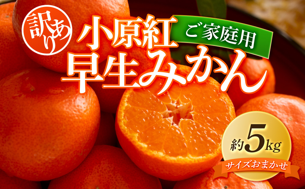 【訳あり】ご家庭用　小原紅早生みかん(サイズおまかせ)約5kg【2026年11月中旬～2027年1月中旬配送】