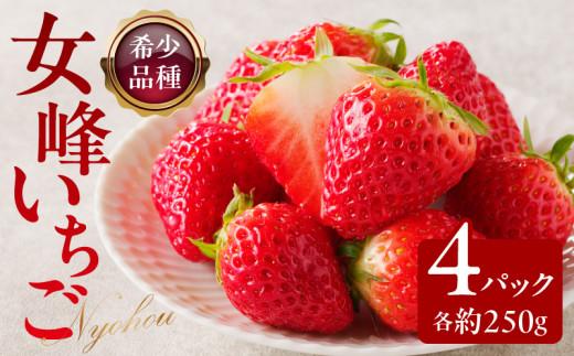 希少品種　女峰いちご4パック(各約250g)【2025年1月中旬～2025年6月上旬配送】