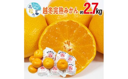 越冬完熟みかん 約2.7kg【2025年1月中旬～2025年1月下旬配送】