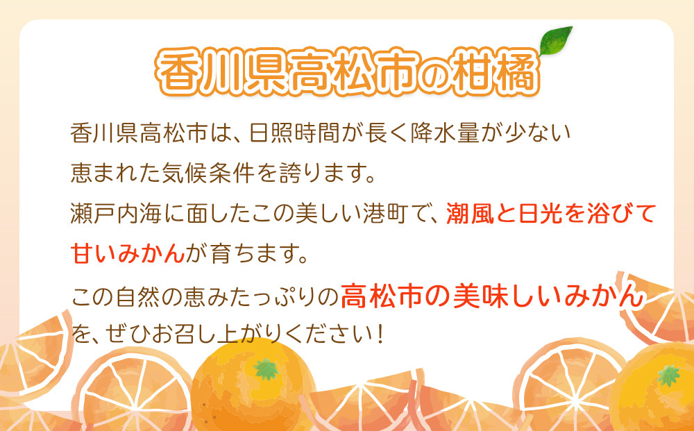 爽やかな味わい 八朔 約5kg【2026年2月中旬～2026年3月下旬配送