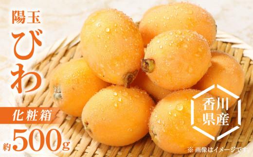 陽玉びわ化粧箱 約500g【2025-5月上旬～2025-6月中旬配送】