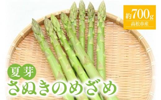 さぬきのめざめ 夏芽 約700g アスパラガス【2024-6月上旬～2024-11月上旬配送】